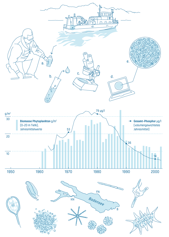 Infografik der Probenahme von Wasser aus dem Bodensee und zur Entwicklung von Phytoplankton seit 1950.